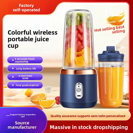 Small Portable Stainless Steel Cup Juice Blender Juicer Multifunctional USB Charging